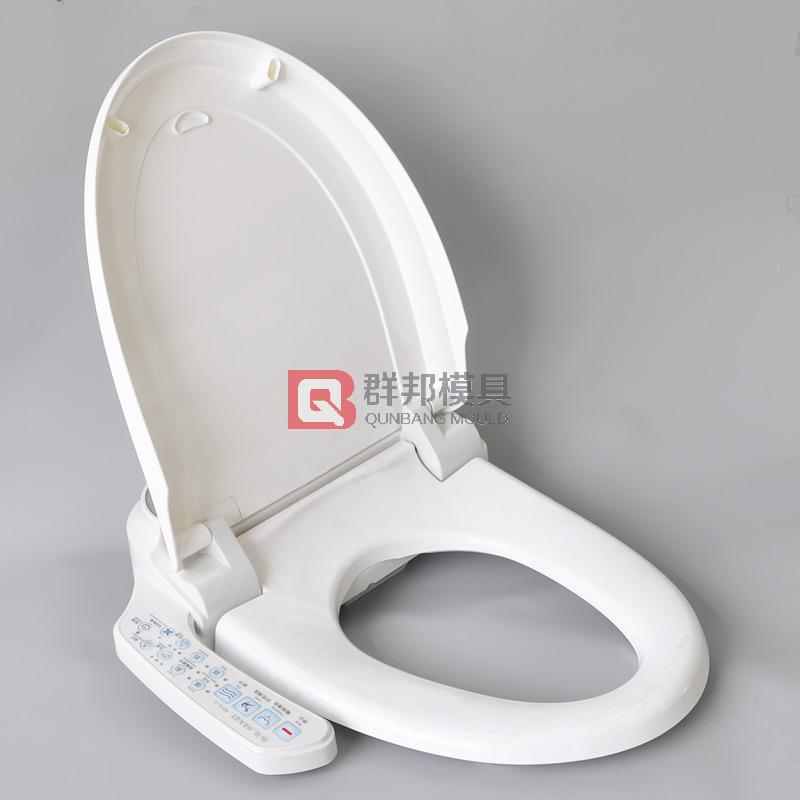 Intelligent Toilet  Mould24