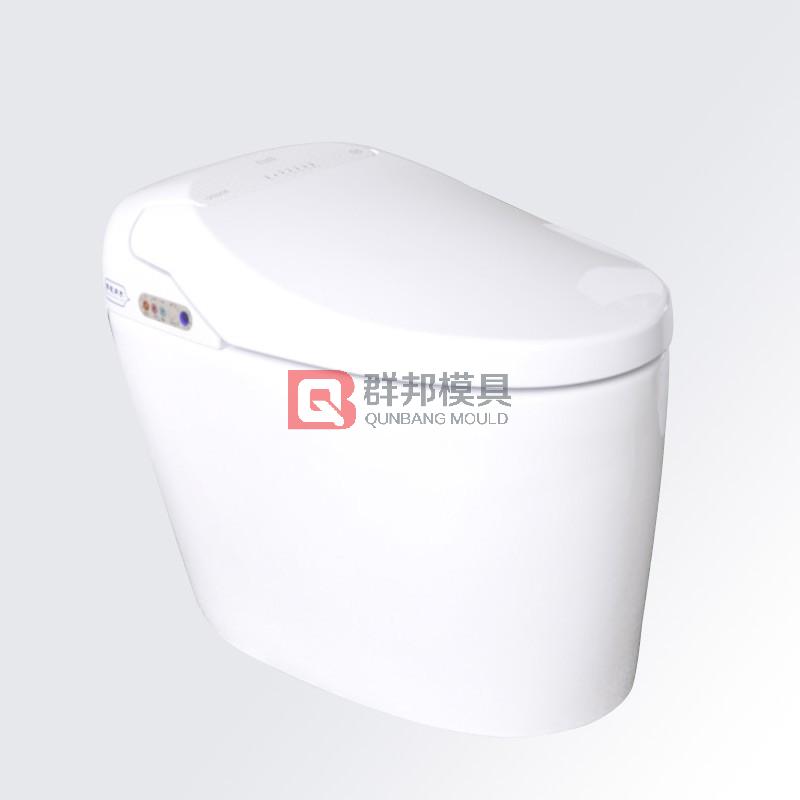 Intelligent Toilet  Mould3