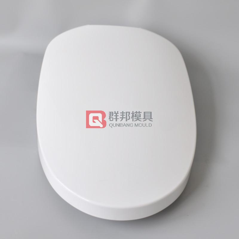 Intelligent Toilet  Mould43