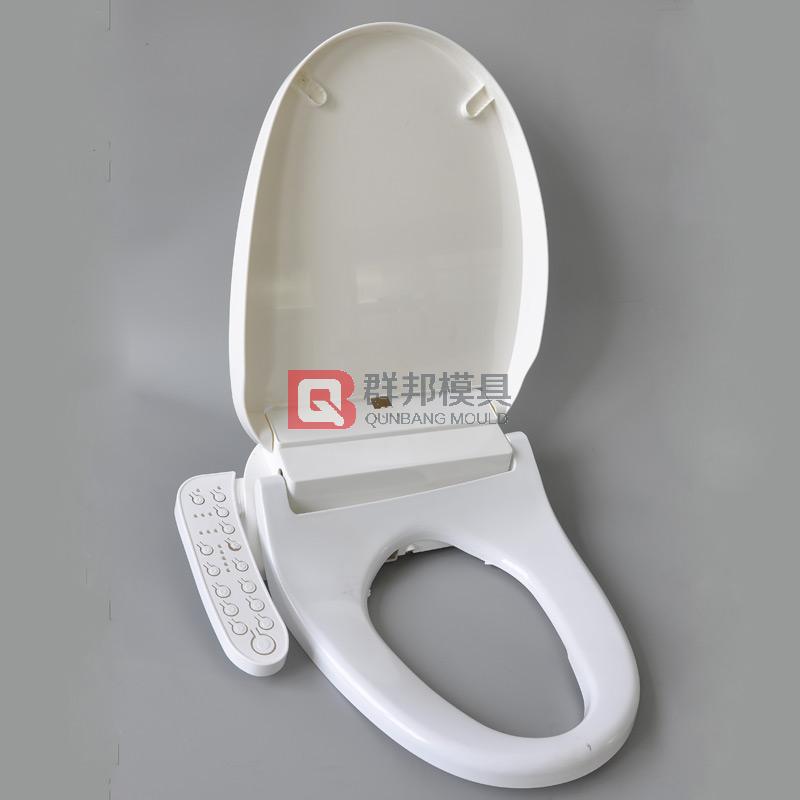 Intelligent Toilet  Mould30