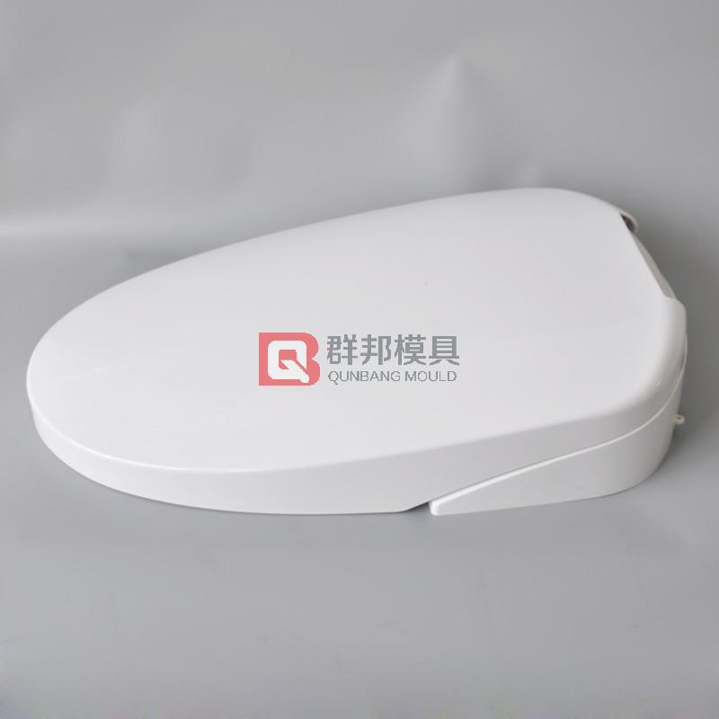 Intelligent Toilet  Mould44