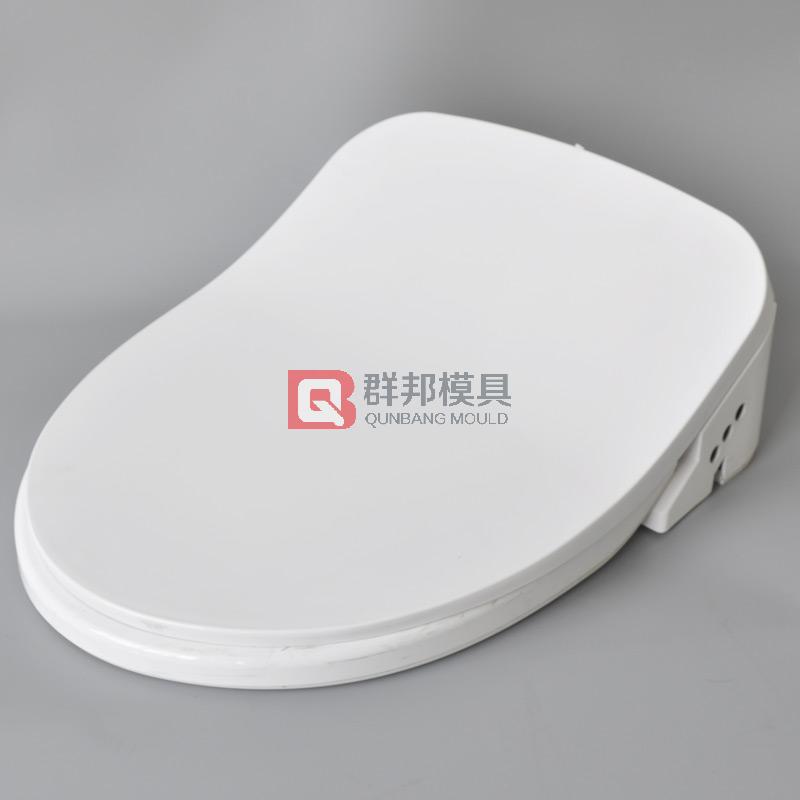 Intelligent Toilet  Mould45