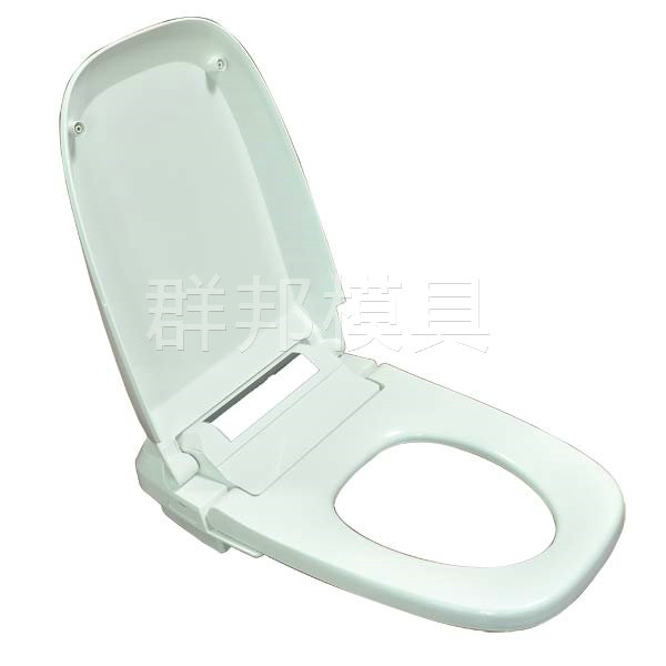 Lavatory cover mould-17