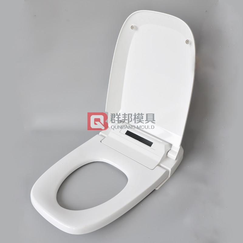 Intelligent Toilet  Mould55