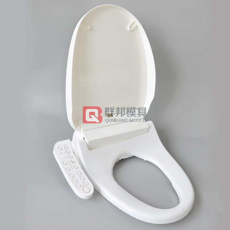 Intelligent Toilet  Mould31