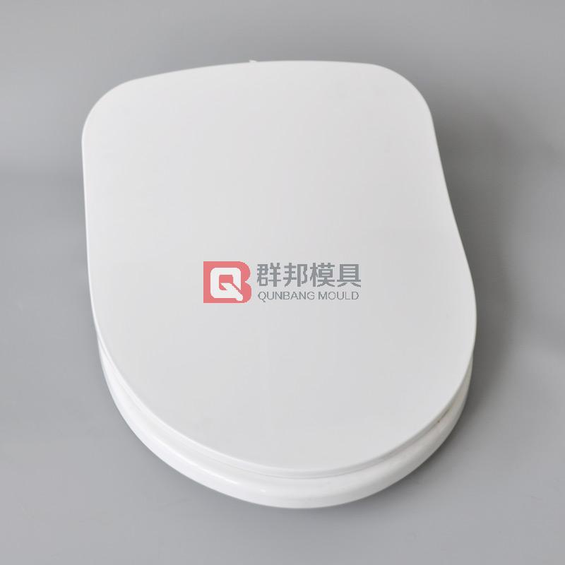 Intelligent Toilet  Mould47