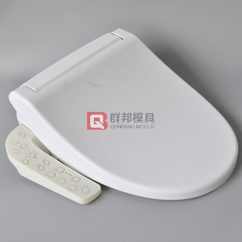 Intelligent Toilet  Mould37