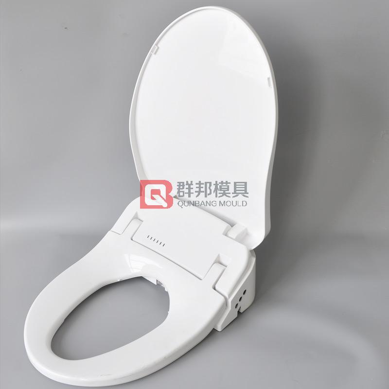 Intelligent Toilet  Mould48