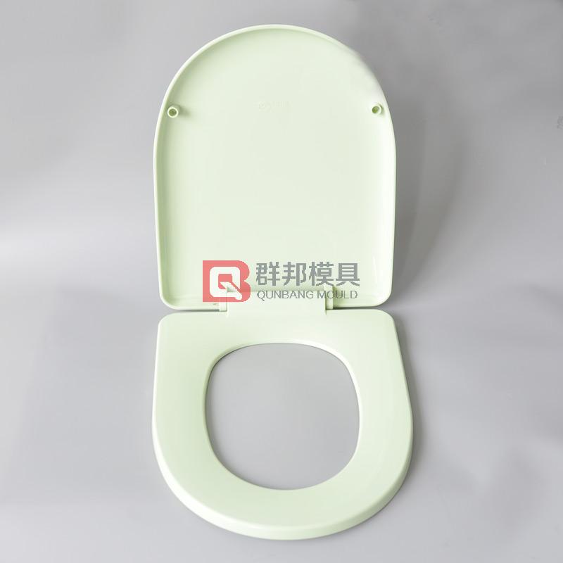 Intelligent Toilet  Mould38