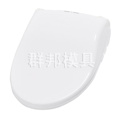 Lavatory cover mould-30
