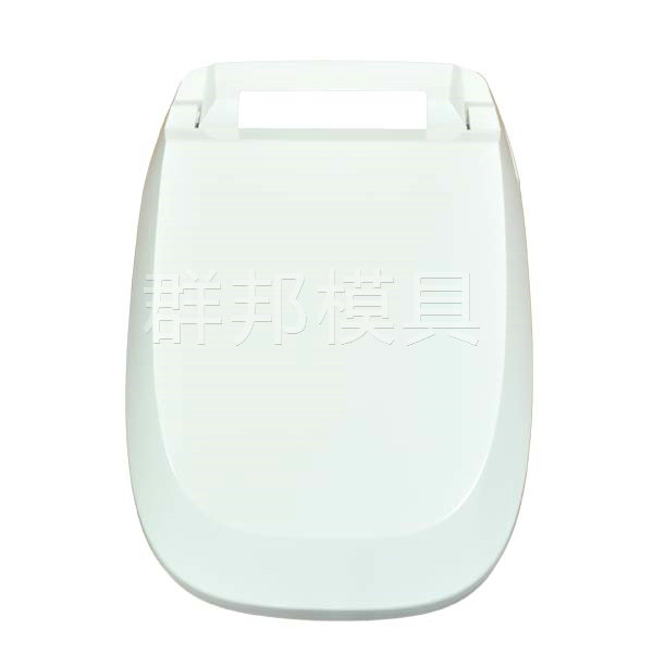 Lavatory cover mould-15