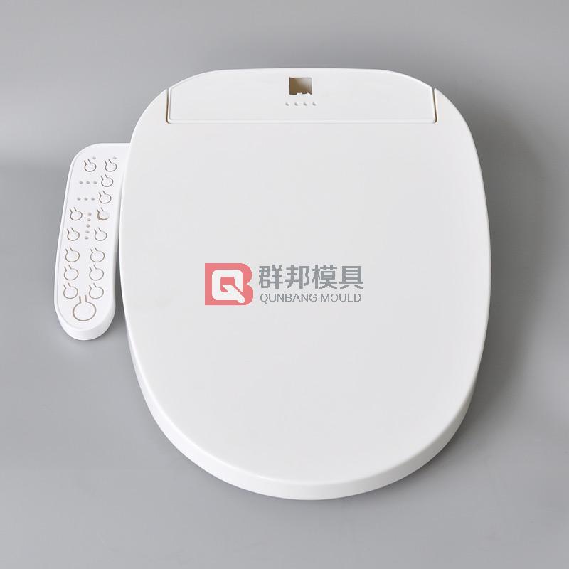 Intelligent Toilet  Mould29