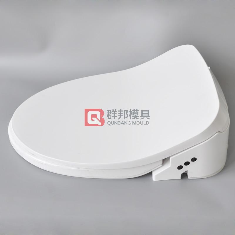 Intelligent Toilet  Mould46