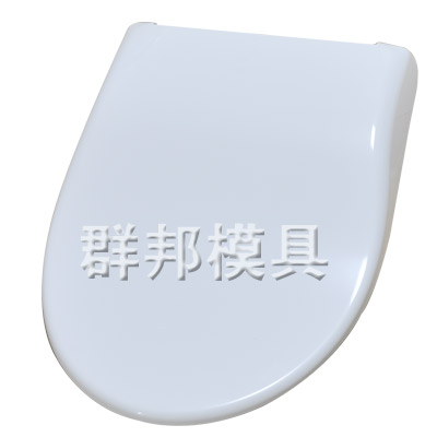Lavatory cover mould-26