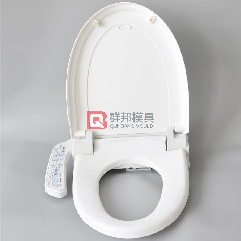 Intelligent Toilet  Mould23