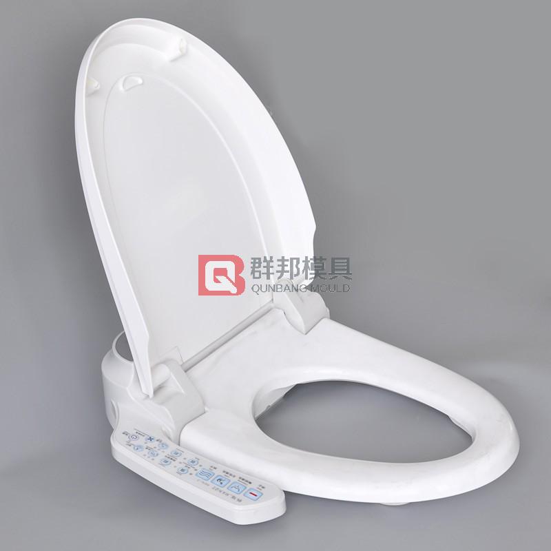 Intelligent Toilet  Mould25